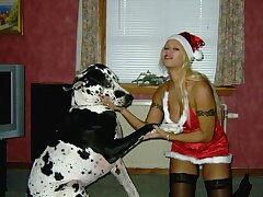 Cute babe in black pantyhose with her huge pet dog