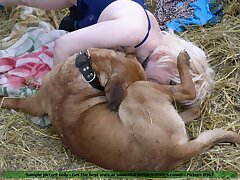 Mature slut loves to sucking huge dog dick outdoor