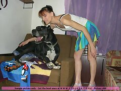 Tight teen ass and massive dog cock fucking hard