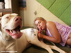 Beautiful nice girl sucking very big dog cock