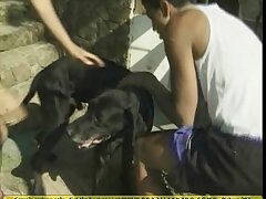 Brazil sexy beauties have anal dogsex together