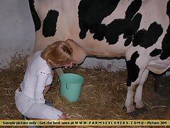 Two sexy lesbians girl love to sucking horse cock